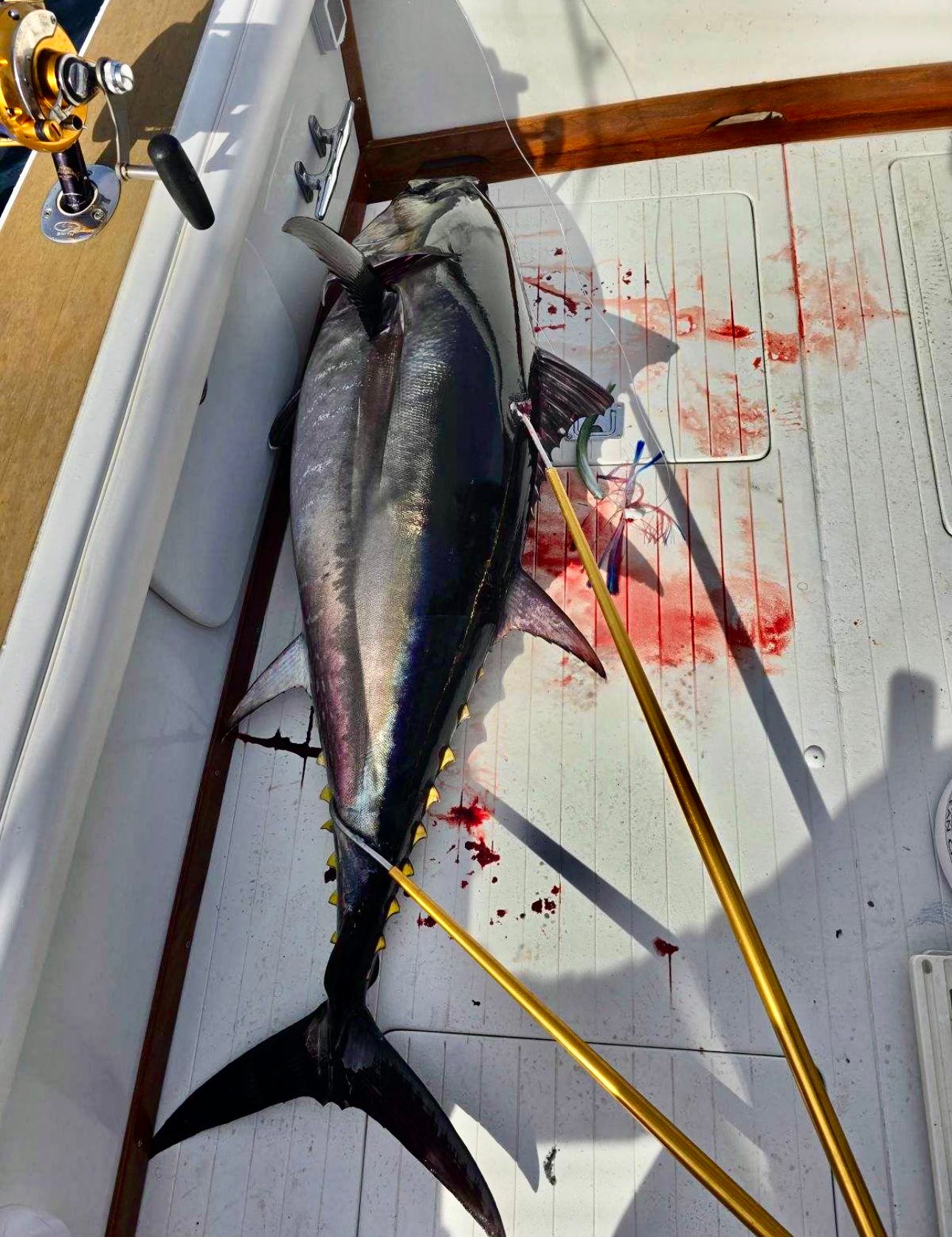 353 Custom Tuna Rigs