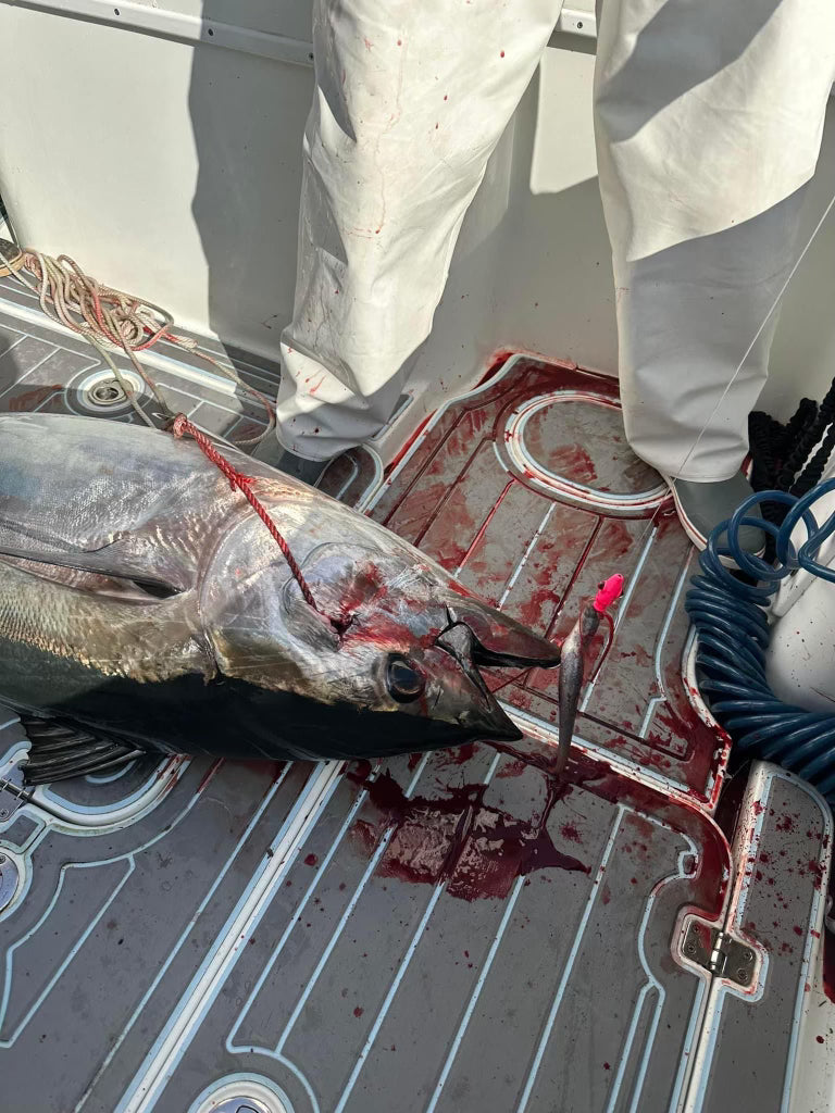 353 Custom Tuna Rigs