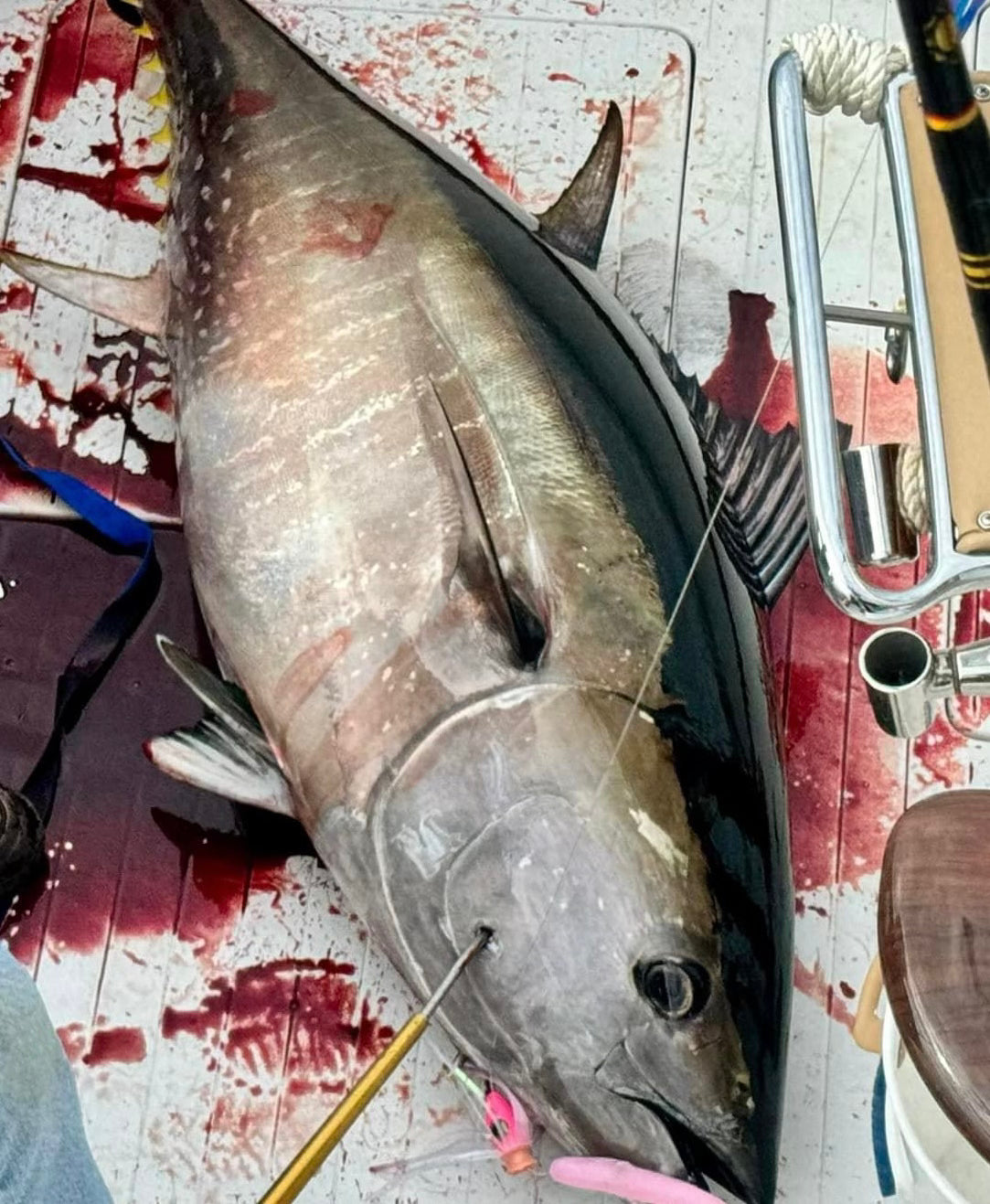 353 Custom Tuna Rigs