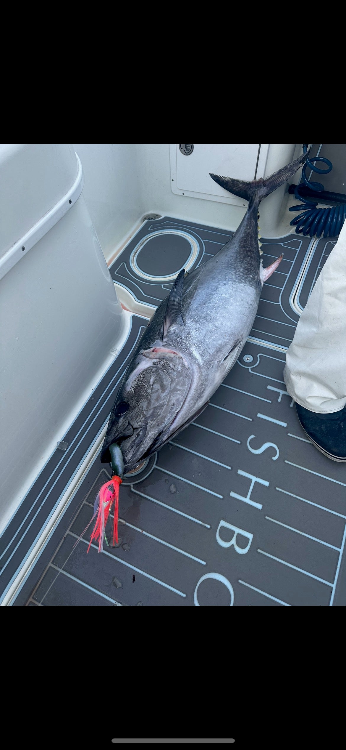 353 Custom Tuna Rigs
