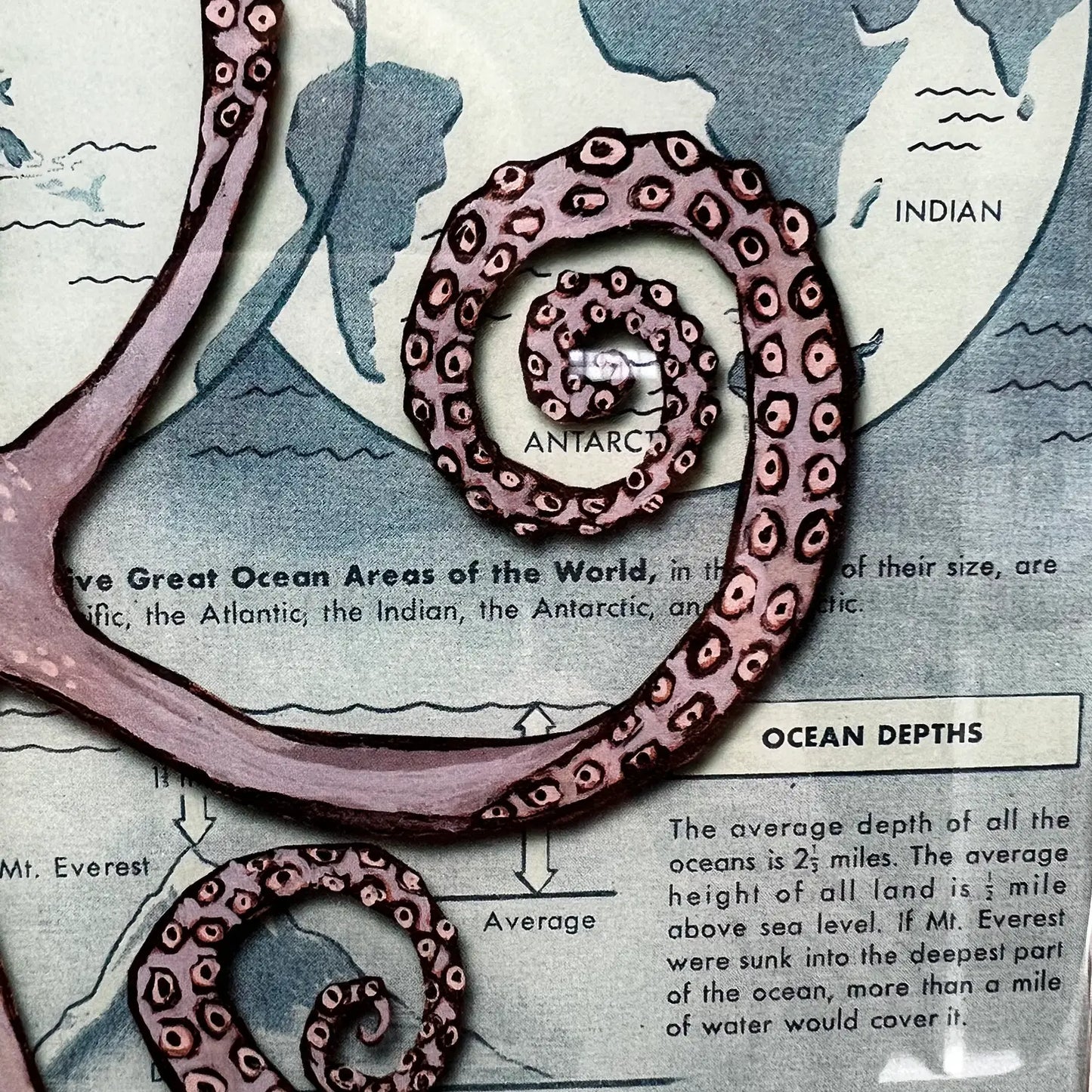 Octopus Bottle Opener