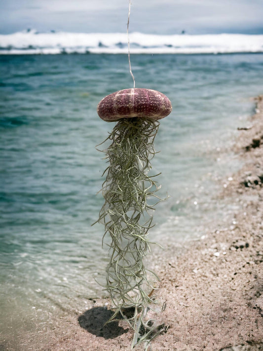 Jelly Fish Hanger