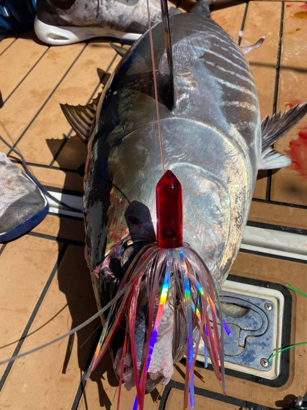 Ballyhoo 3oz- Habanero Custom Lures