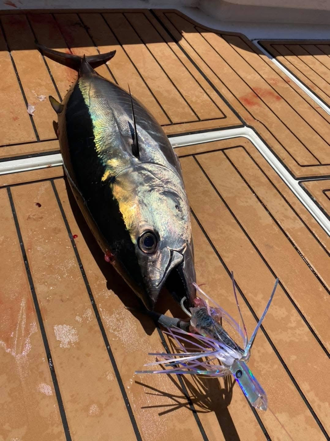 Ballyhoo 3oz- Habanero Custom Lures