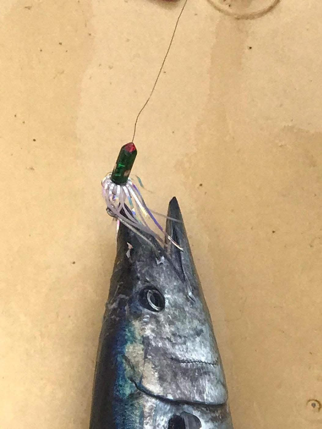 Ballyhoo 3oz- Habanero Custom Lures