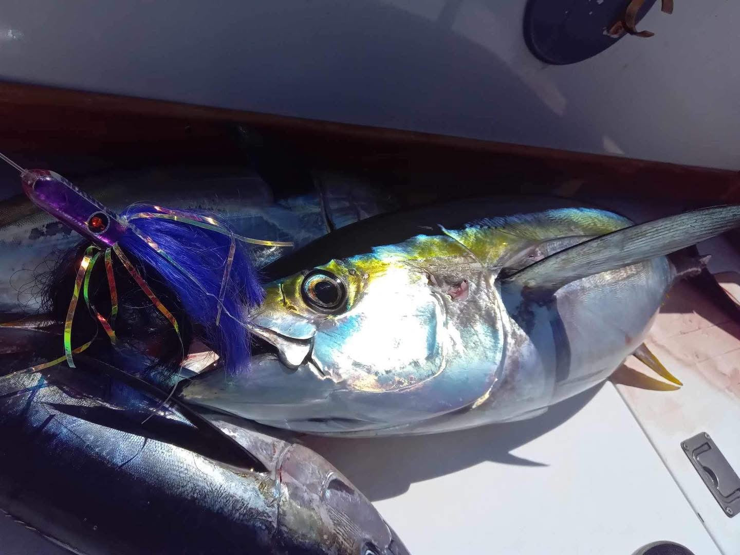 Ballyhoo 3oz- Habanero Custom Lures