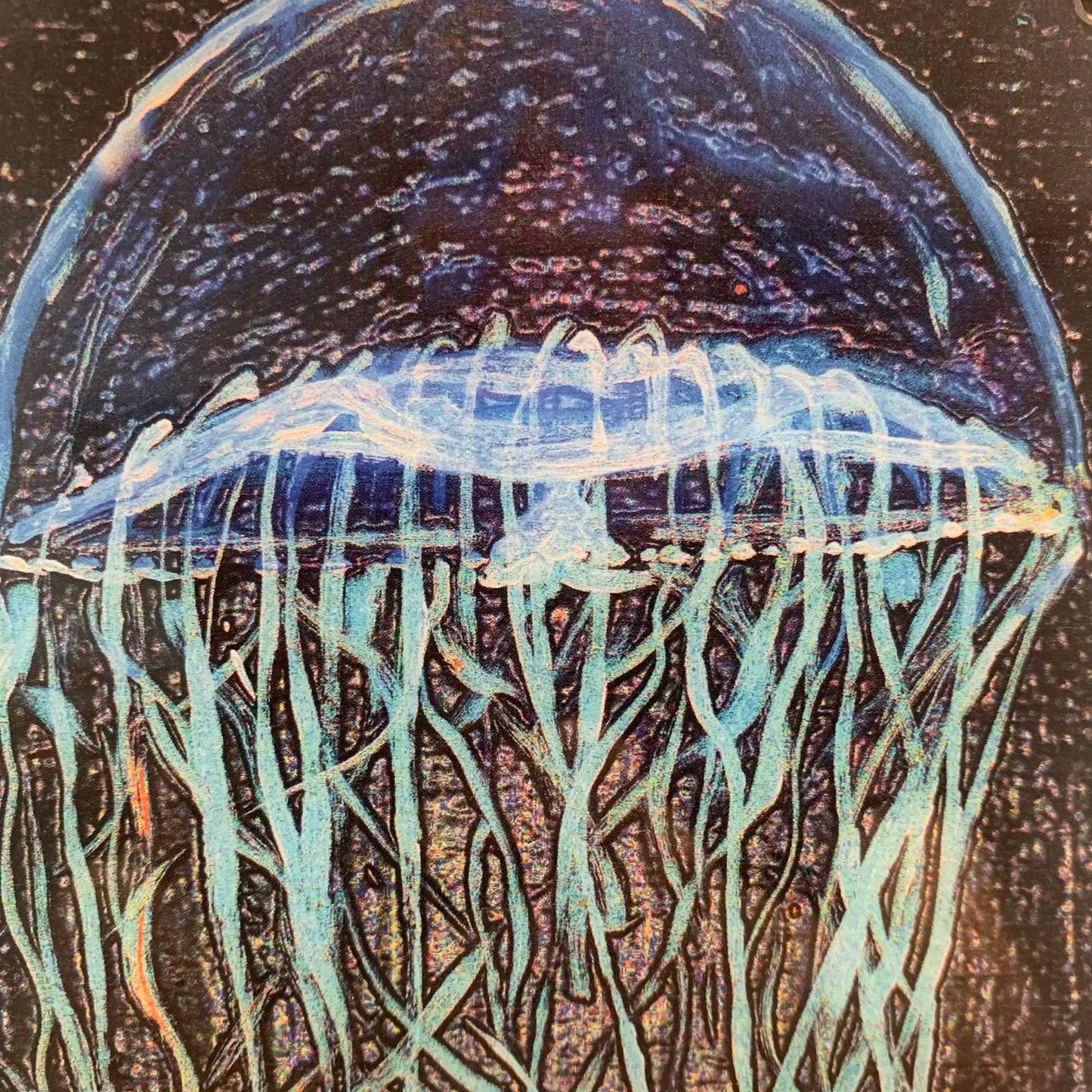 Jellyfish Bottle Opener