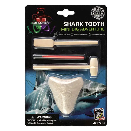 Shark Teeth Dig Toy